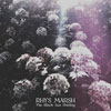 Rhys Marsh (The Autumn Ghost, Opium Cartel, Kaukasus) - The Black Sun Shining