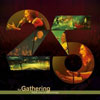 The Gathering - Tg25: Live At Doornroosje (Live)