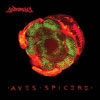 Andromaca - Aves Spicere