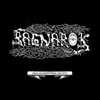 Ragnarok - Chaos And Insanity Between 1994-2004 [Compilation]