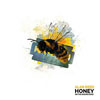 Alan Reed - Honey On The Razors's Edge